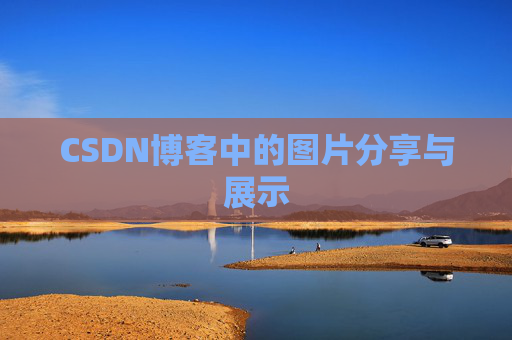 CSDN博客中的图片分享与展示